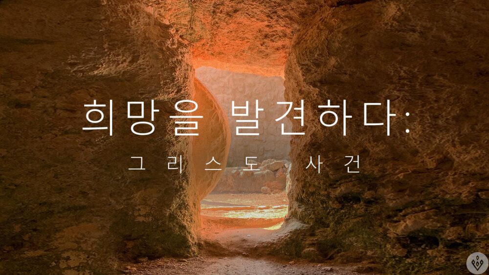 희망을 발견하다